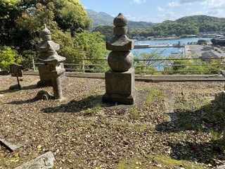 IMG_7025.jpg