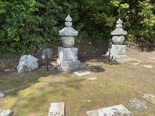 IMG_7027.jpg