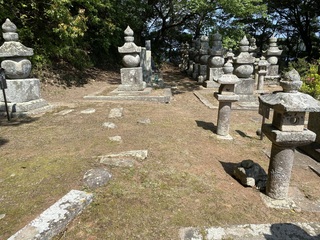 IMG_7028.jpg