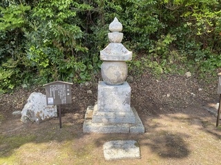 IMG_7031.jpg