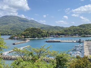 IMG_7035.jpg